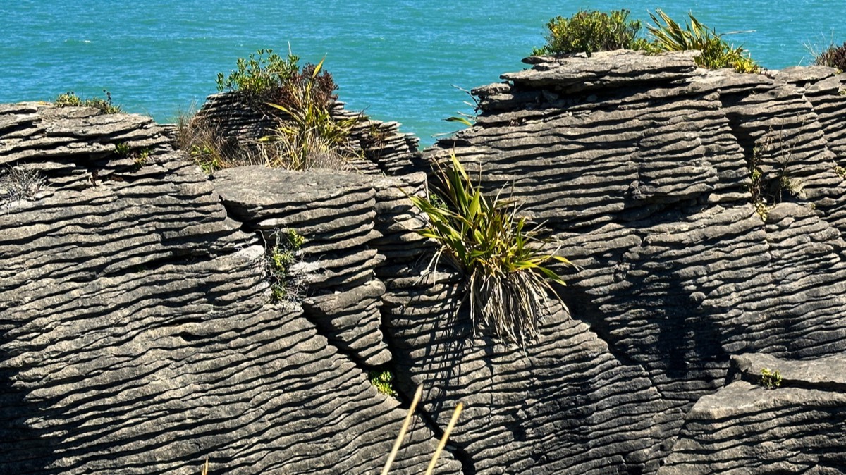 Stacks Image 130